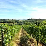 La Ginestra - Altana *