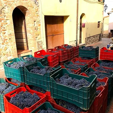 La Ginestra - Altana *
