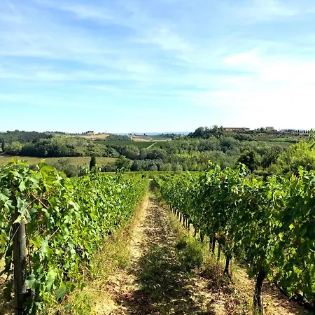 La Ginestra - Altana *